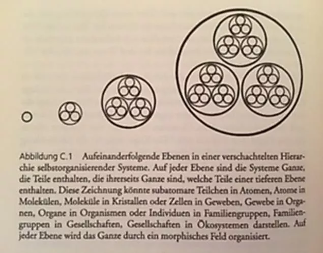 ireneschaerli_beitraege_morphisches-feld.jpg ireneschaerli_beitraege_morphisches-feld.jpg